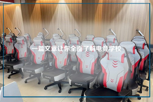 一篇文章让你全面了解电竞学校