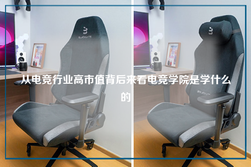 从电竞行业高市值背后来看电竞学院是学什么的