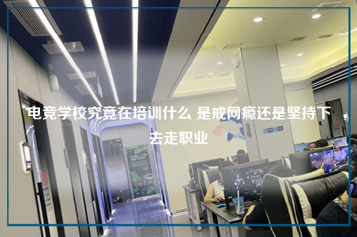 电竞学校究竟在培训什么 是戒网瘾还是坚持下去走职业